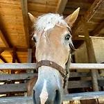 Kmetija Matk * Solčava