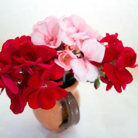 Çiftlik konaklama Kmetija Matk