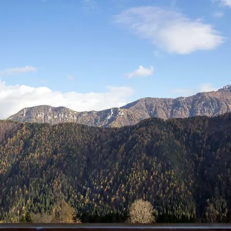 Kmetija Matk Gospodarstwo agroturystyczne Solčava