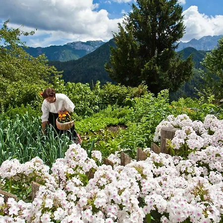 Gospodarstwo agroturystyczne Kmetija Matk