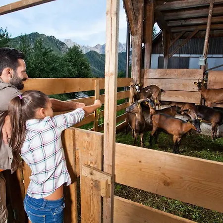 Kmetija Matk Gospodarstwo agroturystyczne